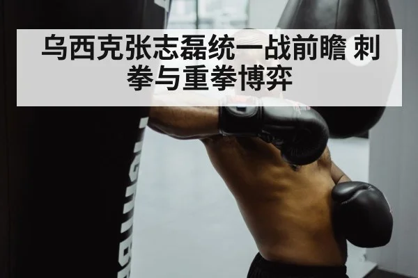 乌西克张志磊统一战前瞻 刺拳与重拳博弈